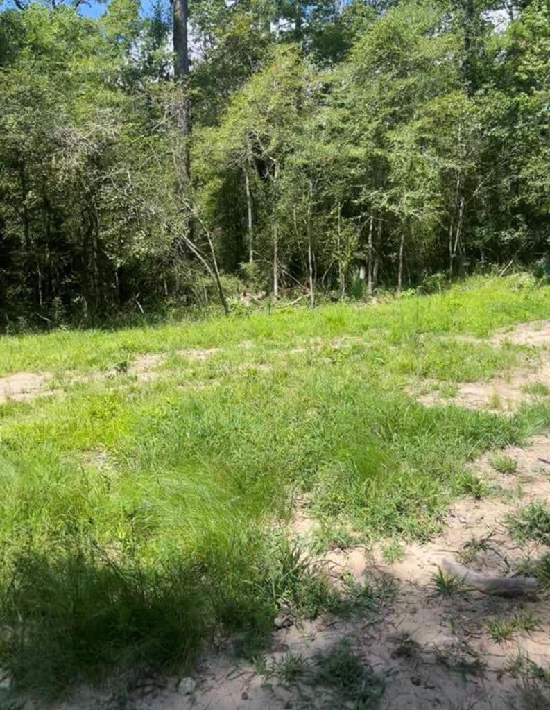 58 Firewood Rd — photo 1