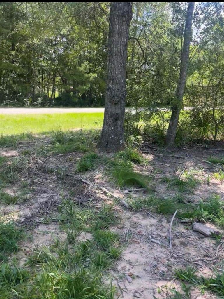 56 Firewood Rd — photo 3