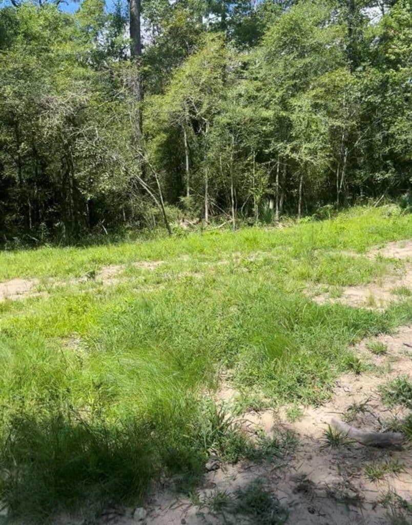 58 Firewood Rd — photo 2