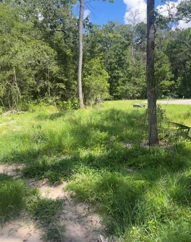 58 Firewood Rd — photo 3